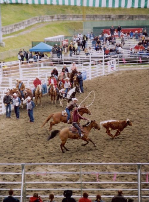 roundup